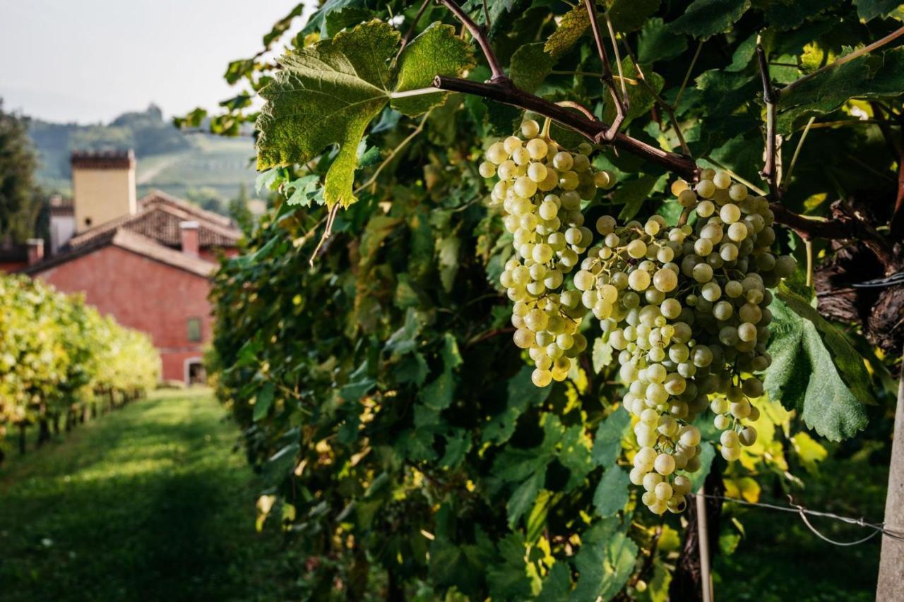 Villa Clementina - Prosecco Country Hotel San Pietro Di Feletto Exterior foto